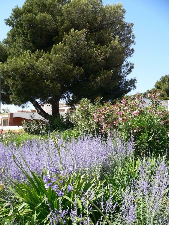 "Bien Vivre Ensemble" Aux Marches Du Soleil - Chambres Privees Chez L'Habitant Dans Appartement Partage Sète Exterior foto